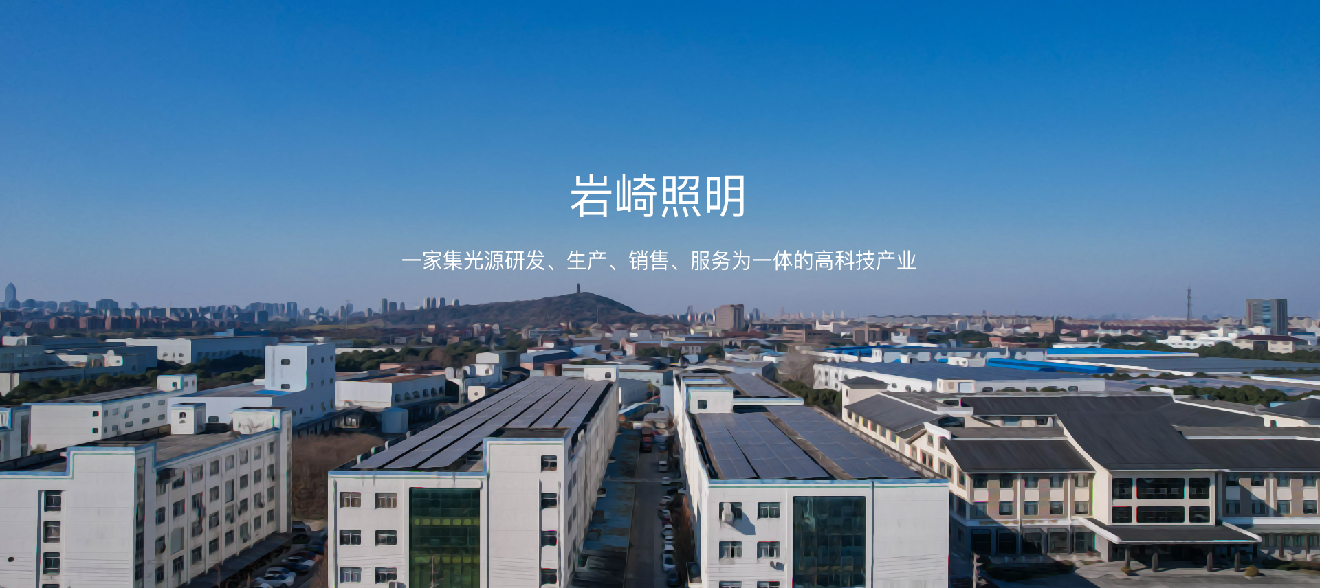 海寧市巖崎照明有限公司